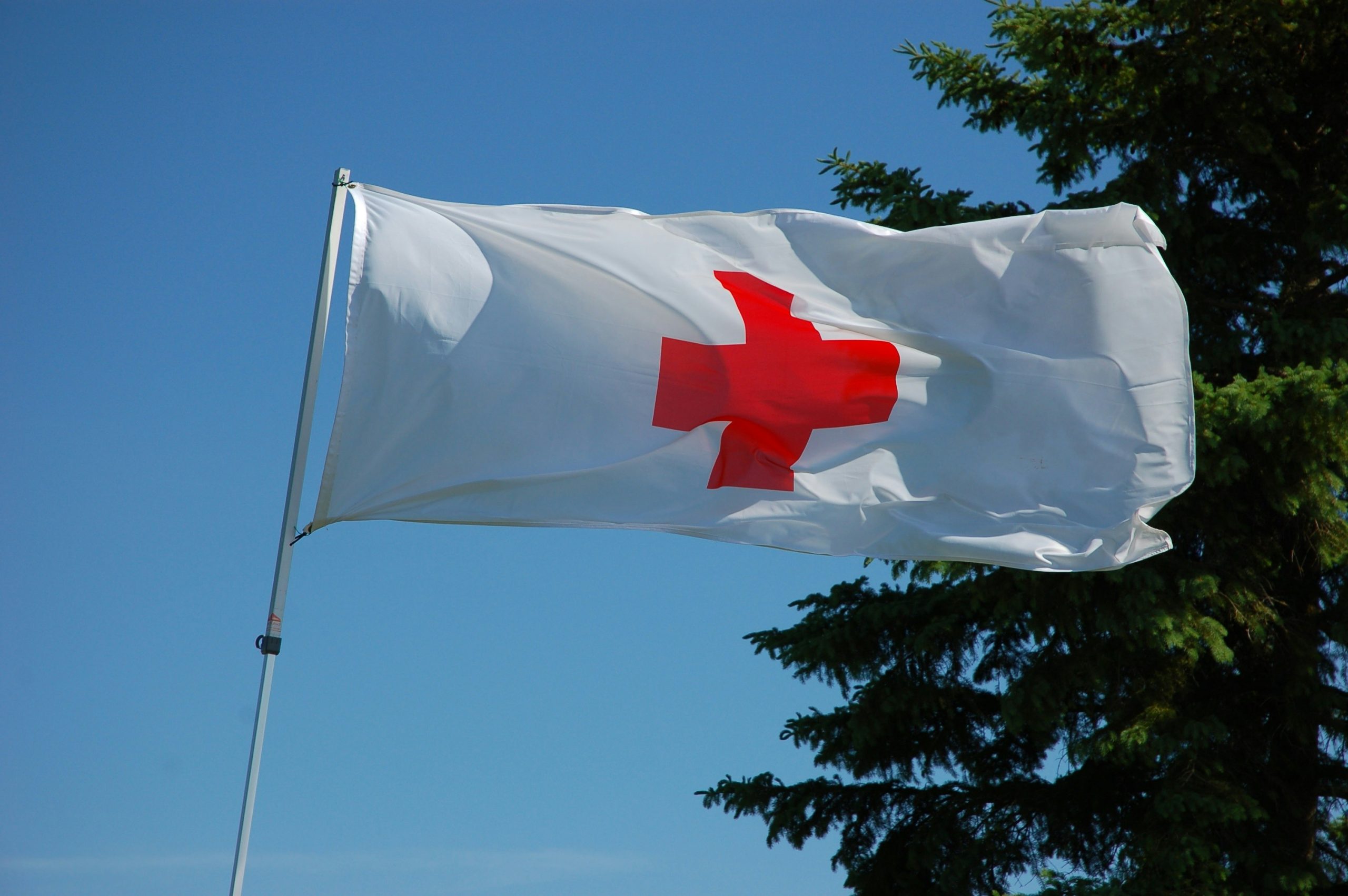 Red Cross to shed 2,900 jobs